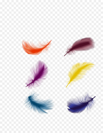 The Floating Feather - Vector color feathers decoration 