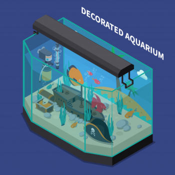 Decorated aquarium isometric composition Free Vector