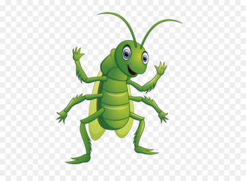 Grasshopper Cartoon Caelifera Illustration - Happy insects 