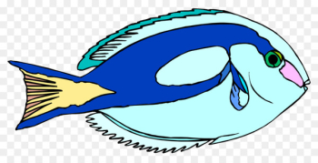 Blue Tang Ornamental fish Drawing Clip art - fish 