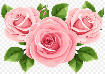 Garden roses Clip art Tattoo Art Portable Network Graphics -  