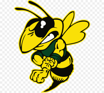 Franklin High School, Edison High School, Stockton Unified School District, Honeybee, Yellow PNG