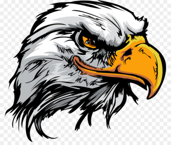 Bald Eagle Logo - cartoon eagle 