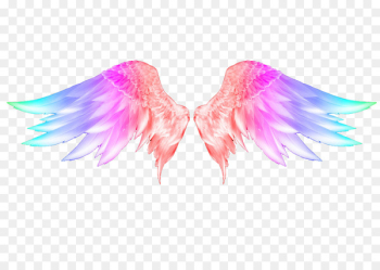 Snowflake Art Wing Feather Clip art - Colorful angel wings 