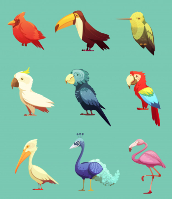 Exotic tropical birds retro icons set