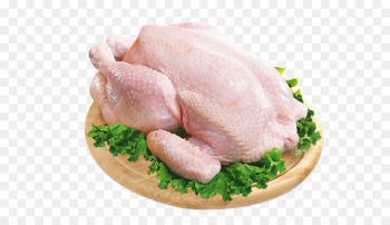 Meat Broiler Bird Chicken Anser - meat 