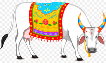 Thai Pongal Makar Sankranti Wish Lohri WhatsApp - White national wind white cattle 