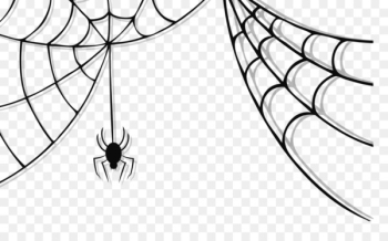 Spider web Spider-Man Clip art - Cute Spider PNG Image 