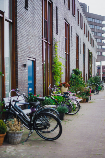 cozy courtyards of Amsterdam, benches, bicycles, flowers in tubs.
