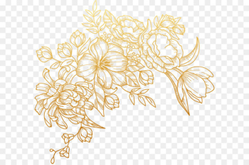 Euclidean vector Flower - Vector painted golden flowers 