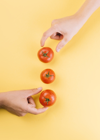 Two people picking up juicy red tomatoes on yellow background