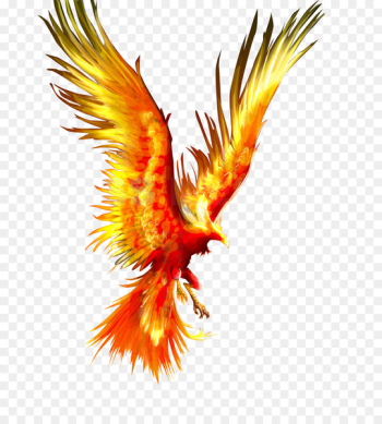 Phoenix Firebird Tattoo Mythology - Fireworks Phoenix 