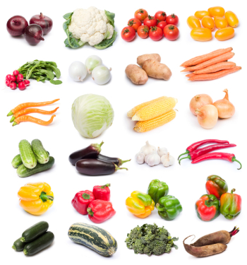 image set of fresh ripe vegetables on white background