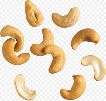 Cashew Hazelnut Dried Fruit Clip art - nuts 