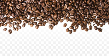 Coffee bean Espresso Cafe - Coffee Beans PNG Transparent Images 