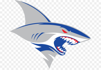 Shark, Logo, American Football, Fish PNG