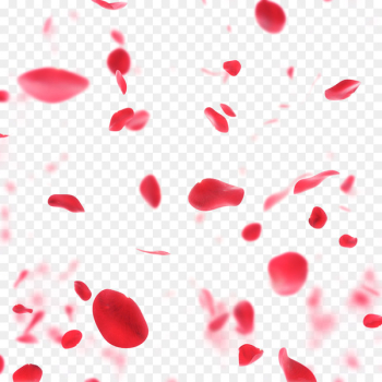 Stock photography Rose Anniversary Valentines Day Royalty-free - Rose petals drift 