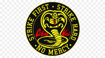 The Karate Kid Johnny Lawrence Daniel Larusso Television show Cobra Kai Never Dies - Cobra Kai 