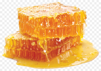 Beeswax Honeycomb Honey bee Beehive - drink honey bees 