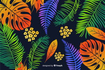 Hand drawn tropical background Free Vector
