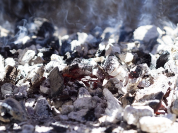 Burning coals covered with ash Free Photo
