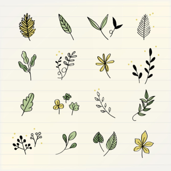 Various leaves doodle collection vector Free Vector