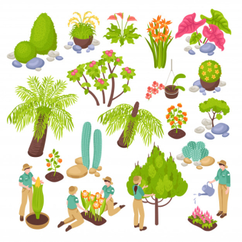Isometric botanical garden greenhouse set with isolated s of various plants trees and flowers with people Free Vector