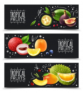 Tropical fruits horizontal banners Free Vector