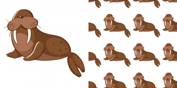 Design with seamless pattern cute sea lion Free Vector