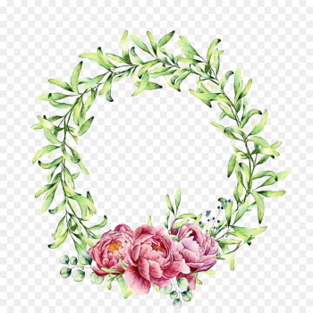 Peony, Flower, Wreath, Pink, Plant PNG
