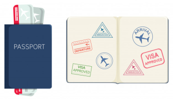 Passport on white background Free Vector