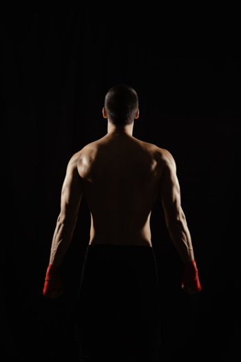 Male boxer posing his powerful back Free Photo