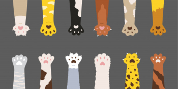 Fluffy multicolored cats paws set Free Vector