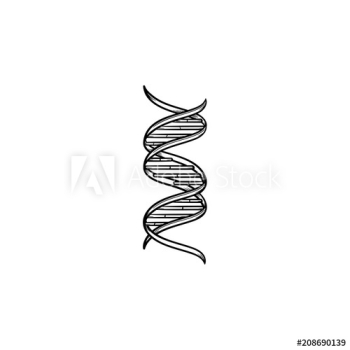 DNA genetic chain hand drawn outline doodle icon
