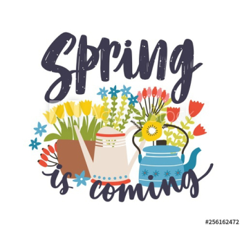 Seasonal composition with Spring Is Coming lettering written with cursive calligraphic font, blooming springtime flowers and flowering plants, kettle and watering can