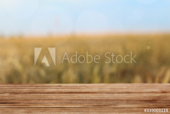 Wooden plank in the field product background