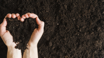 An overhead view of woman's hand holding soil in heart shape Free Photo