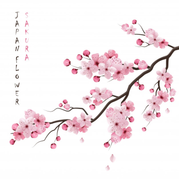 Realistic sakura branch Free Vector