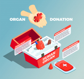 Organ donation isometric composition Free Vector