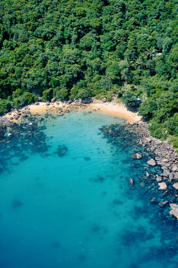 Top view of the sea with the forest