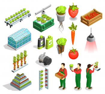 Hydroponic and aeroponic isometric icons Free Vector
