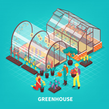 Greenhouse isometric composition Free Vector