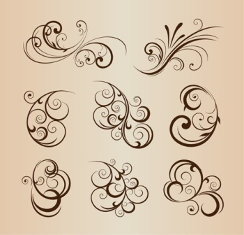 Vector Set of Floral Elements for Graphic Design