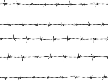 Barbed Wire PNG Transparent Barbed Wire.PNG Images. | PlusPNG
