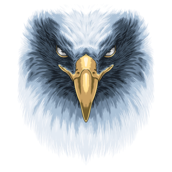 Eagle Face from NeatoShop | Day of the Shirt