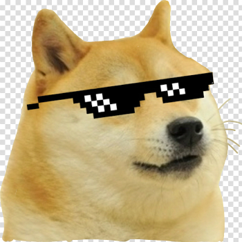 doge meme mlg dog doggo funny - Sticker by Momo