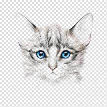 Gray and white kitten illustration, Cat Drawing Painting Art, painted cat transparent background PNG clipart