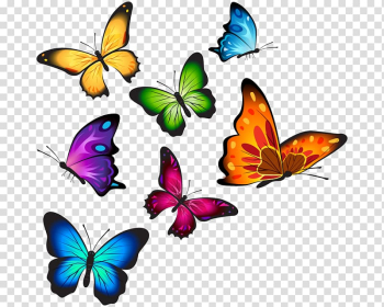 Assorted-color butterflies , Butterfly T-shirt , watercolor butterfly transparent background PNG clipart