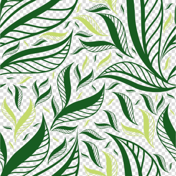 Green leaf , Autumn leaf color Green, Tea pattern background transparent background PNG clipart