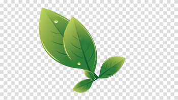 Leaf Euclidean Drawing, Leaves transparent background PNG clipart